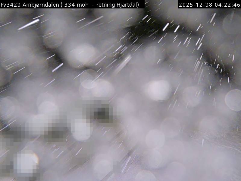 Webcam Ambjørndalen, Hjartdal, Telemark, Norwegen