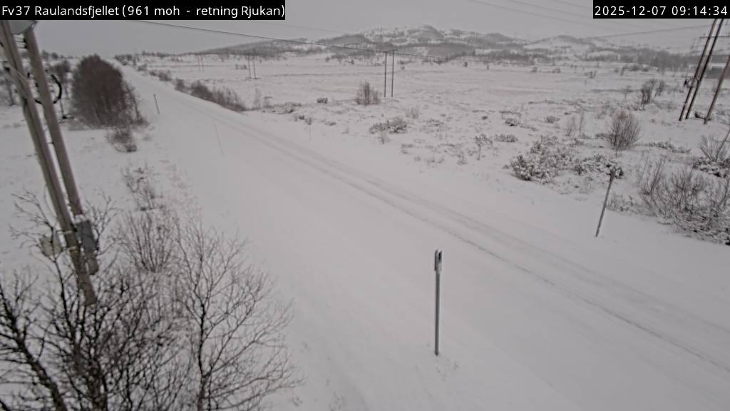 Webcam Skoland, Vinje, Telemark, Norwegen