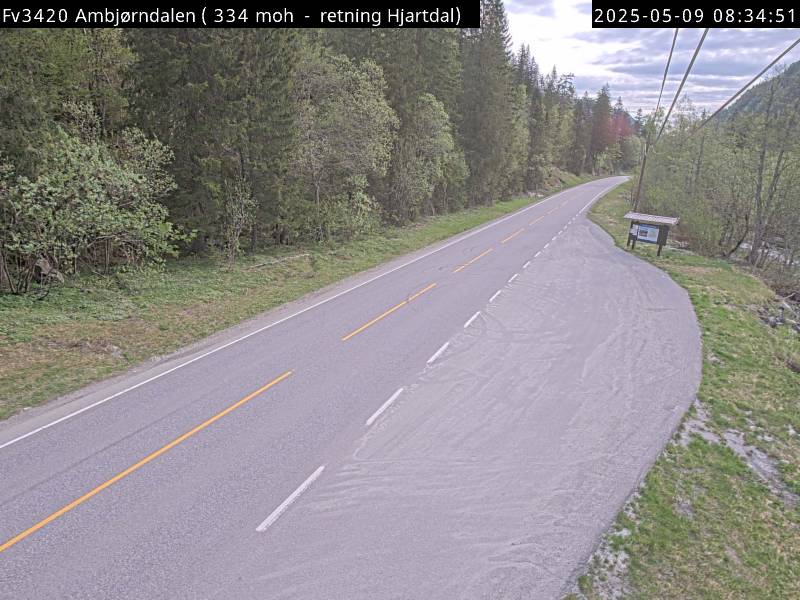 Webcam Ambjørndalen, Hjartdal, Telemark, Norwegen