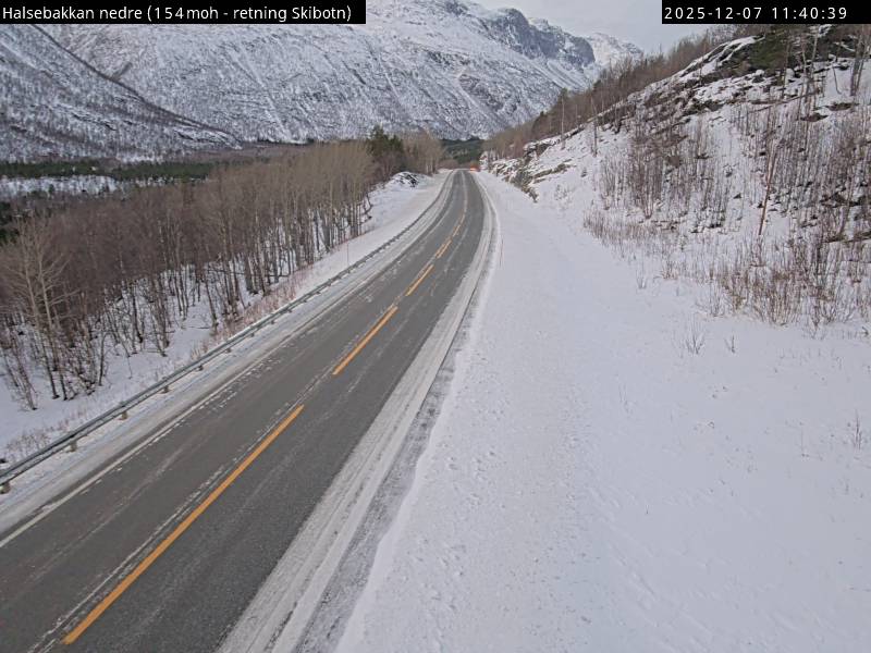 Webcam Ahmakoivu, Storfjord, Troms, Norwegen