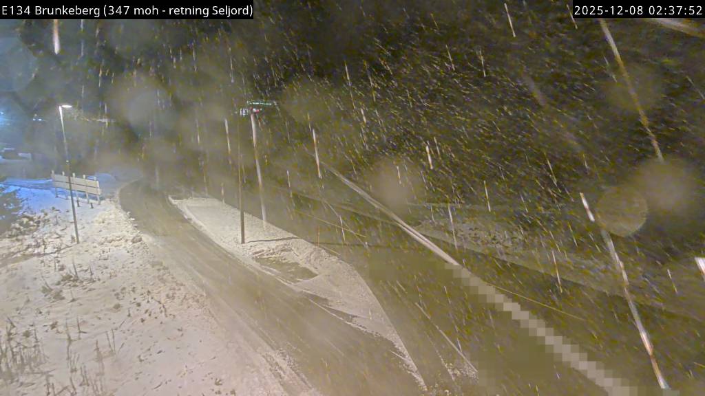 Webcam Brunkeberg, Kviteseid, Telemark, Norwegen