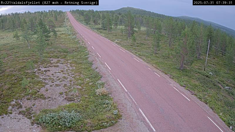 Webcam Rismyra, Engerdal, Hedmark, Norwegen