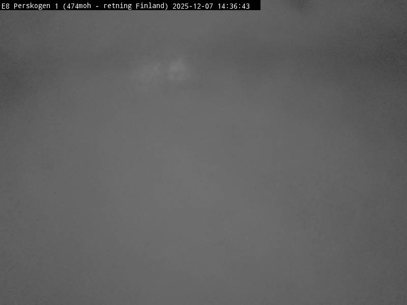 Webcam Perskogen, Storfjord, Troms, Norwegen