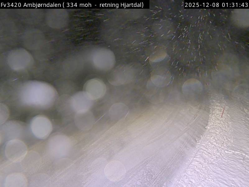 Webcam Ambjørndalen, Hjartdal, Telemark, Norwegen