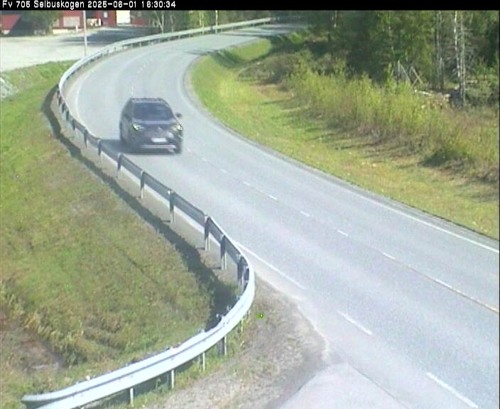 Webcam Selbuskogen, Selbu, Trøndelag, Norwegen