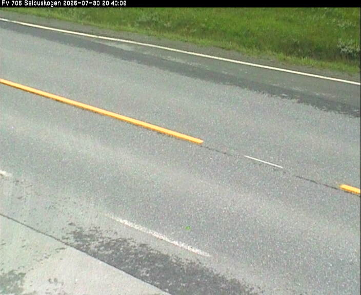 Webcam Selbuskogen, Selbu, Trøndelag, Norwegen