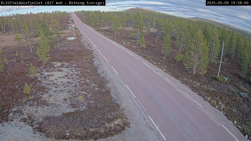 Webcam Rismyra, Engerdal, Hedmark, Norwegen