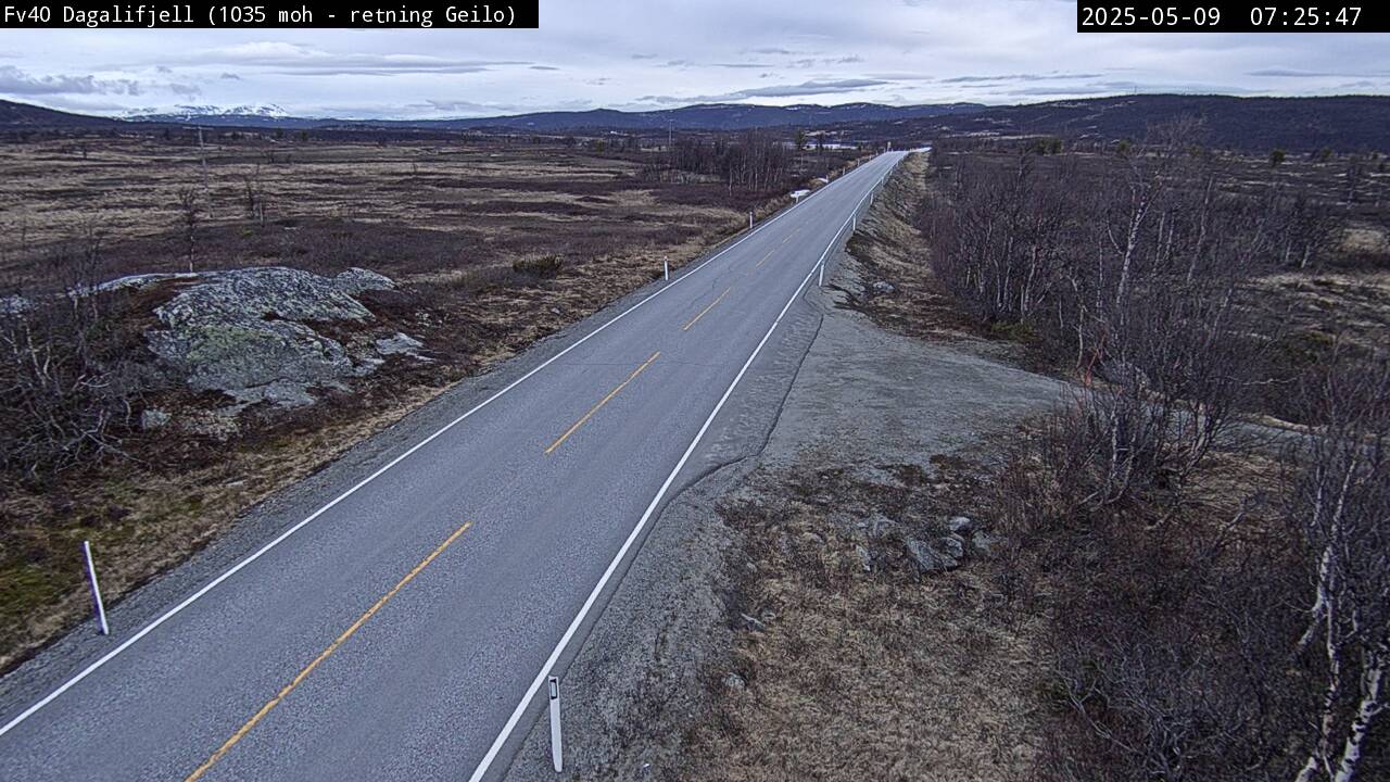 Webcam Torsetlia, Nore og Uvdal, Buskerud, Norwegen