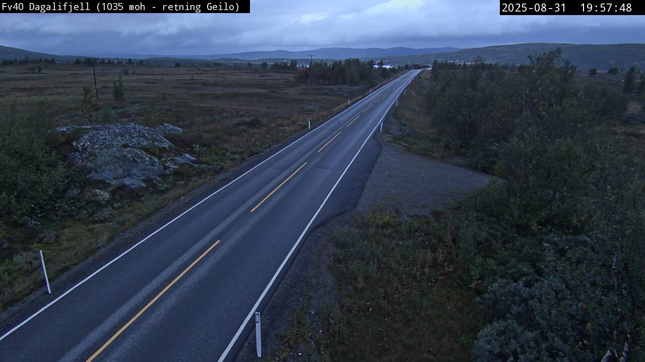 Webcam Torsetlia, Nore og Uvdal, Buskerud, Norwegen