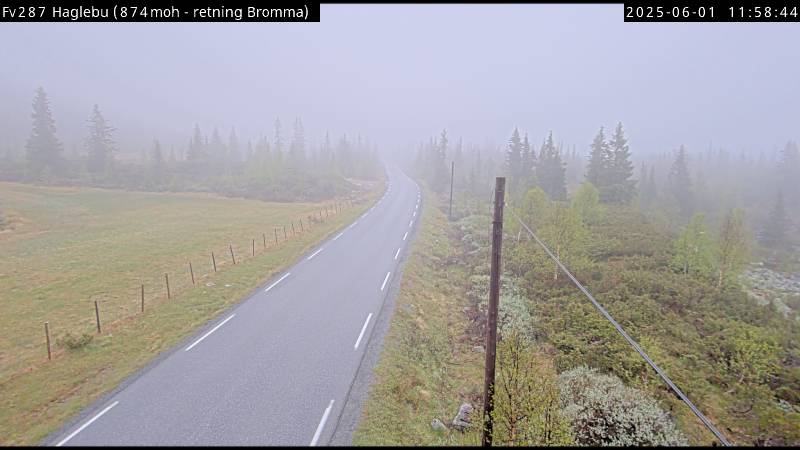 Webcam Bergesætra, Flå, Buskerud, Norwegen