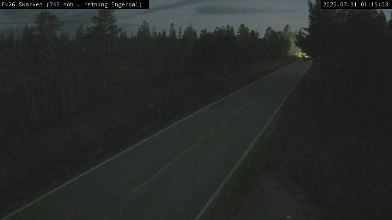 Webcam Borg, Engerdal, Hedmark, Norwegen