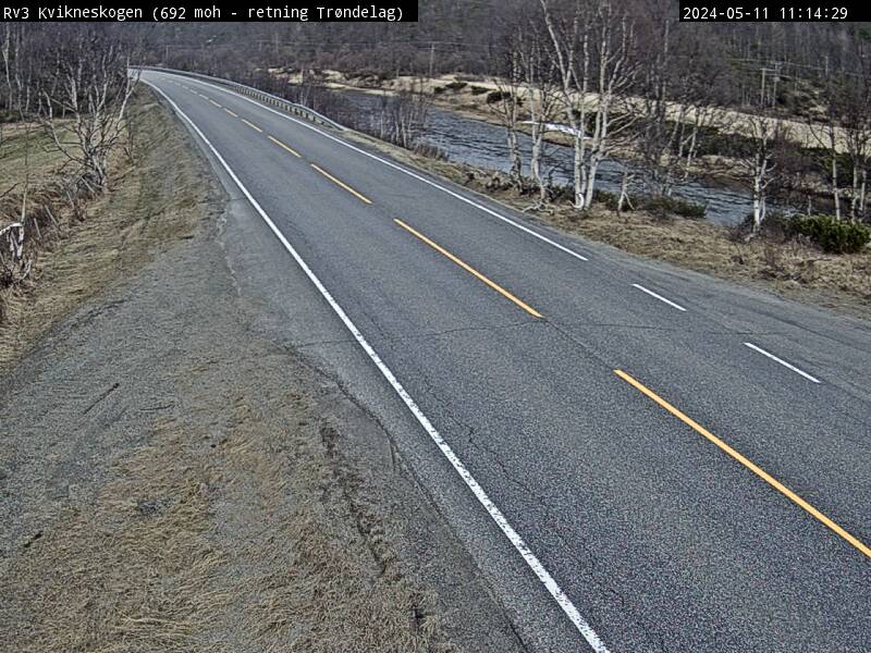 Webcam Kvikneskogen, Tynset, Hedmark, Norwegen