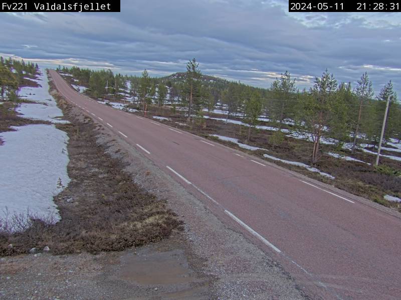 Webcam Rismyra, Engerdal, Hedmark, Norwegen