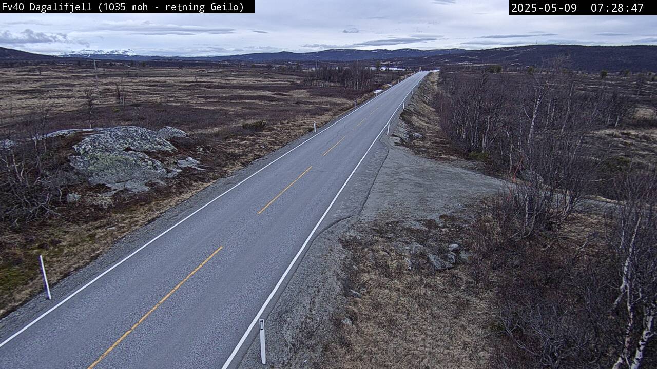 F40 Dagalifjell (retning Geilo)