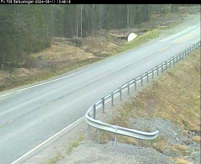 Webcam Selbuskogen, Selbu, Trøndelag, Norwegen