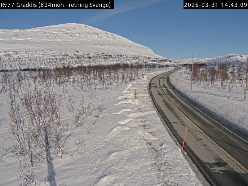 R77 Graddis (retning Sverige)