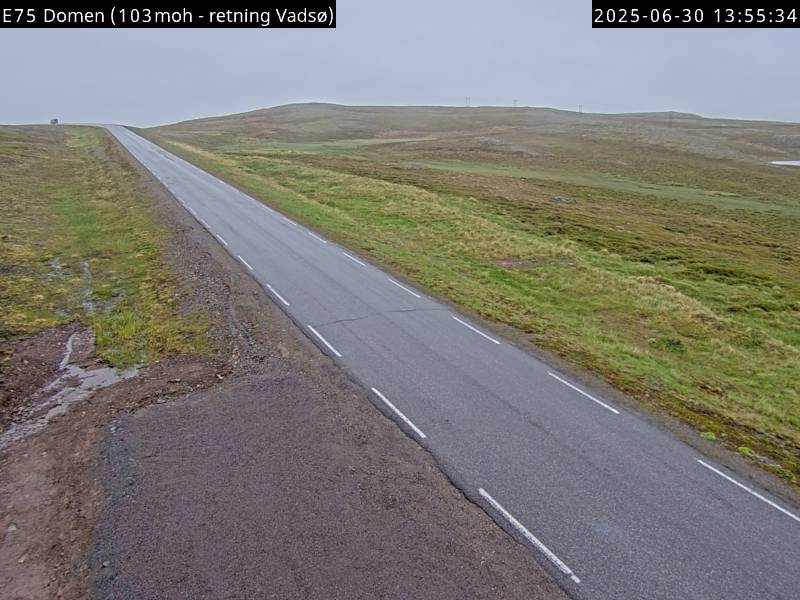Domen webcam